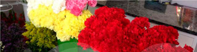 Floristería Araceli flores rojas y amarillas